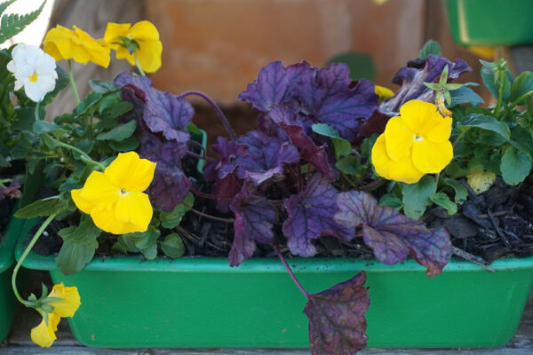 Upward Gardening Post Planter - Large - Image 4