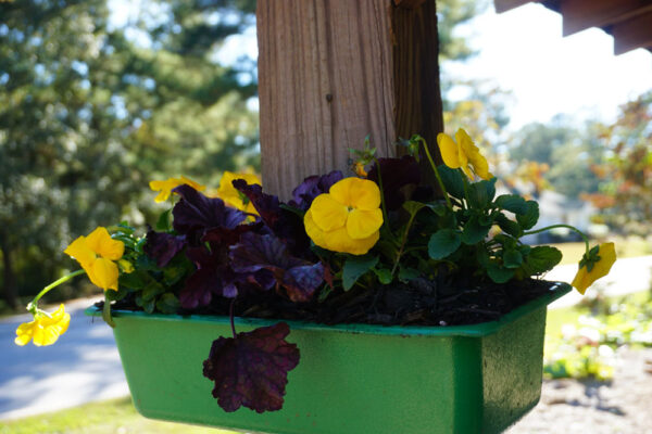 Upward Gardening Post Planter - Large - Image 3